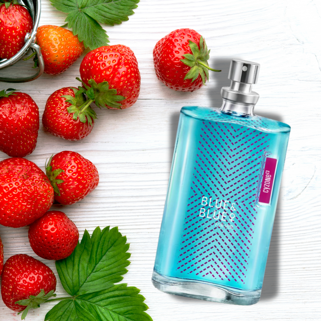 PROMOPACK BLUE & BLUE MIXTO