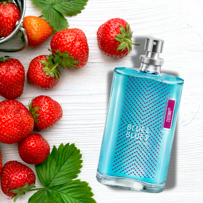 PROMOPACK BLUE & BLUE MIXTO