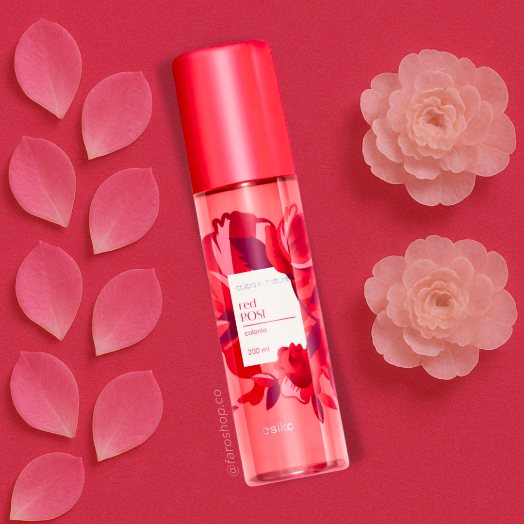 SPLASH COLORS IN NATURE RED ROSE