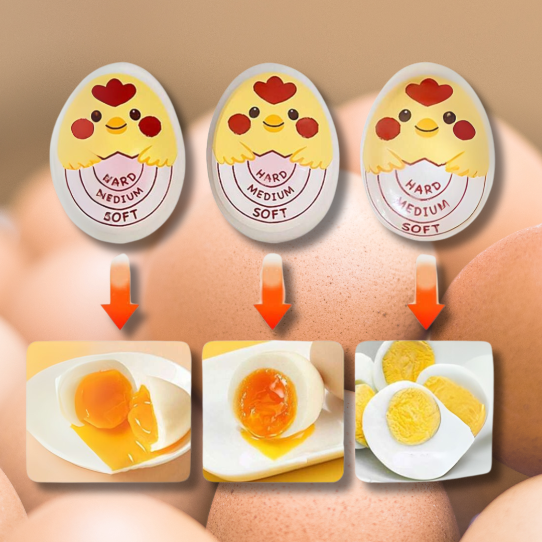 TEMPORIZADOR PARA COCCIÓN DE HUEVOS